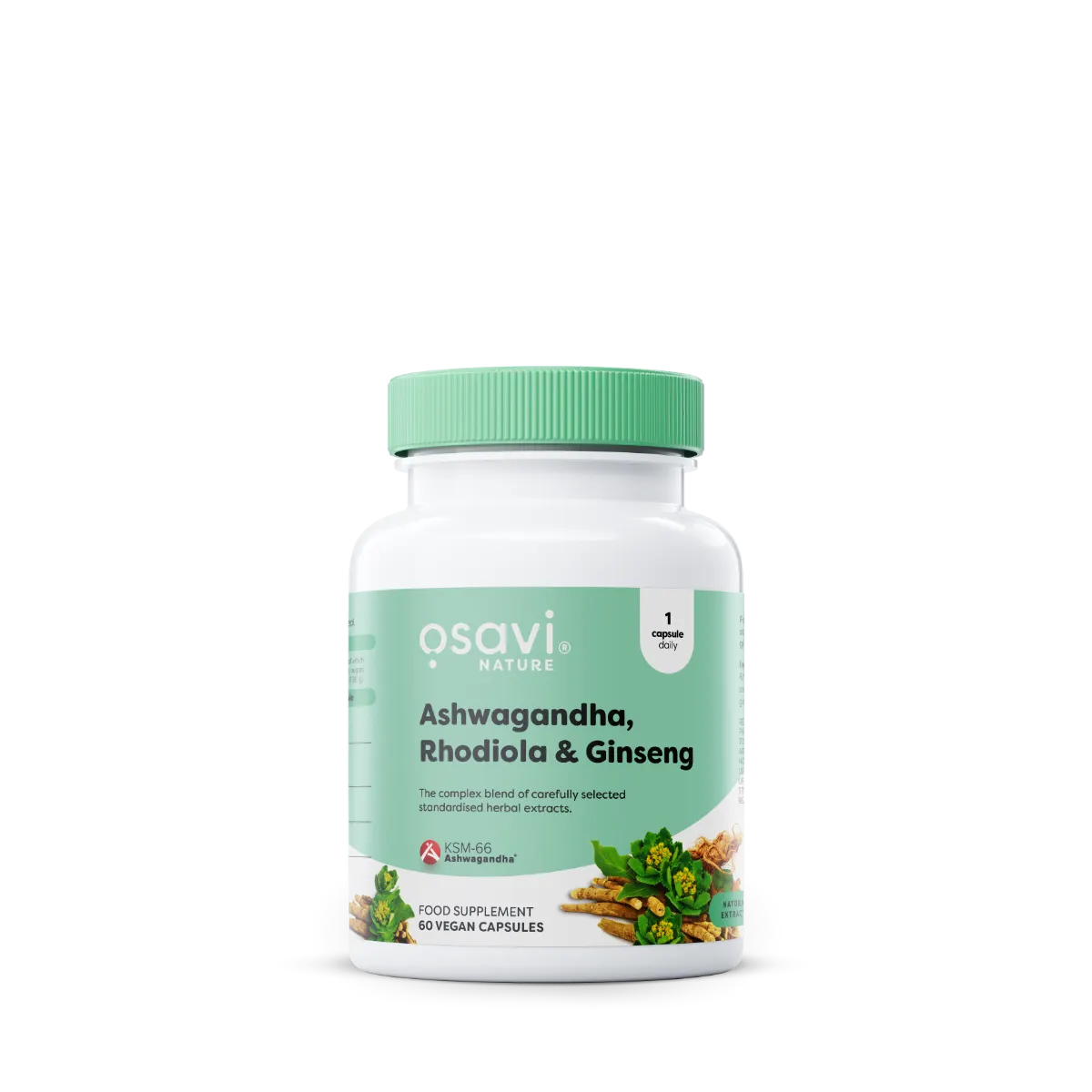 Ashwagandha + Rhodiola & Ginseng - 60 vegan caps