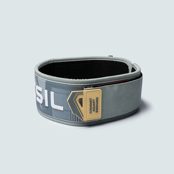 LockPro Lumbar Support Belt